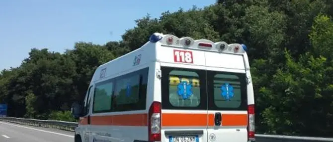 Morano Calabro, uomo muore schiacciato da un albero