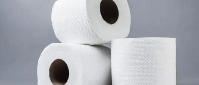 Ruba 884 rotoli di carta igienica, vigile a processo