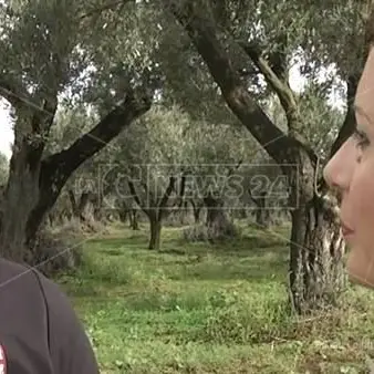Il coraggio e la fede di papà Angelo che attende giustizia: «È ora che la Calabria cambi»