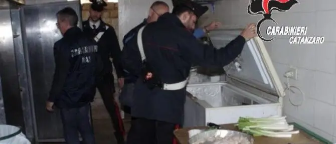 Catanzaro, ispezioni nelle attività commerciali: sanzioni e chiusure