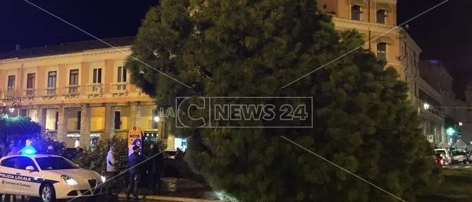 Crotone, il maltempo abbatte il pino monumentale di piazza Pitagora