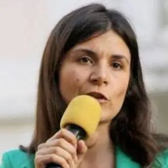 Reggio, Dieni (M5s): «La preside Princi usa la scuola per fini politici»
