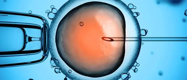 In Calabria apre il primo centro per la procreazione assistita