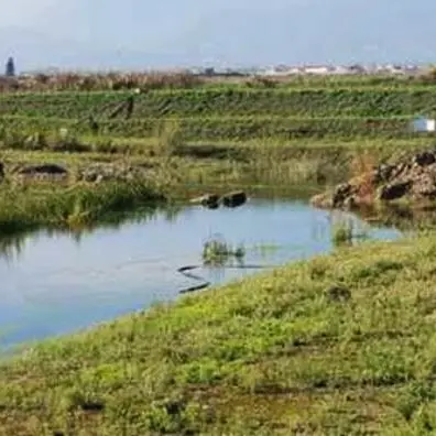 Maltempo, allagato il Parco archeologico di Sibari