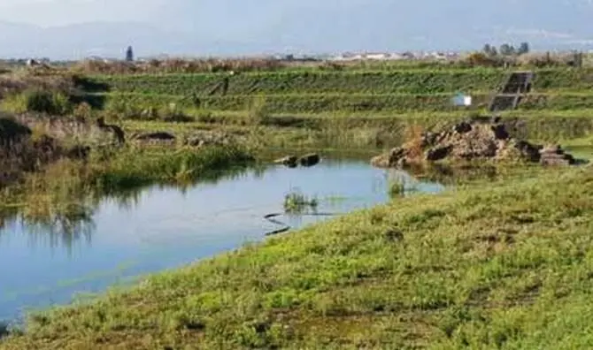 Maltempo, allagato il Parco archeologico di Sibari