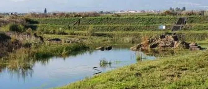 Maltempo, allagato il Parco archeologico di Sibari