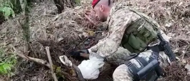 Armi e droga nella Locride, un arresto e una denuncia