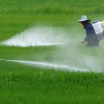 Agricoltura, stop al glifosato: «La Calabria la prima regione a dire no»