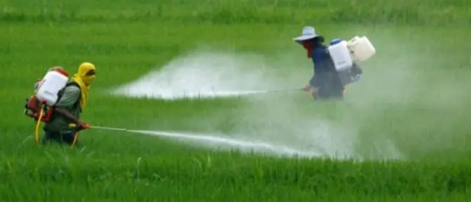 Agricoltura, stop al glifosato: «La Calabria la prima regione a dire no»