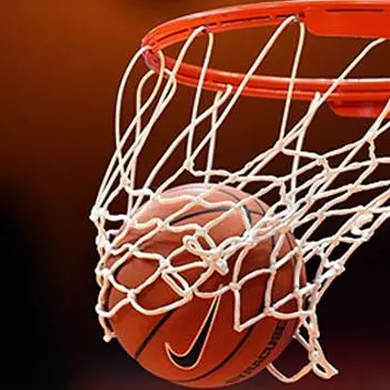 BASKET | Impianti chiusi: Lamezia si ritira dal campionato