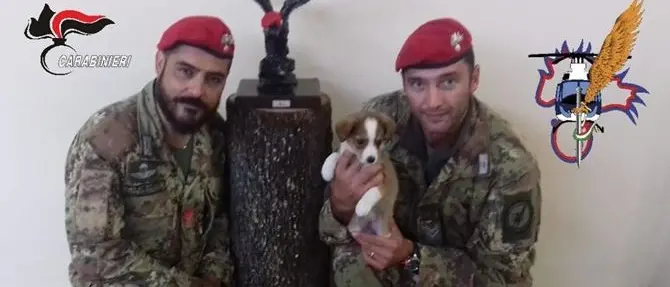 Implacabili con i latitanti, amorevoli con il cucciolo: i Cacciatori lo adottano