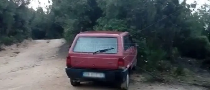 Ancora senza esito le ricerche del cercatore di funghi disperso