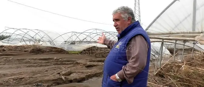 Lamezia, imprenditore agricolo costretto a chiudere dopo alluvione