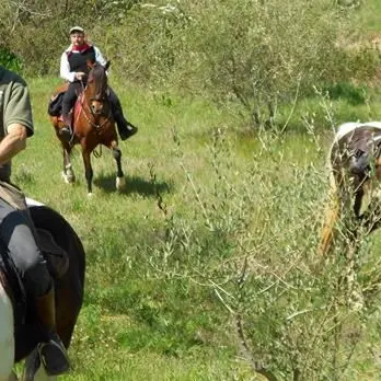 Un appello per creare un percorso di turismo equestre nel Catanzarese