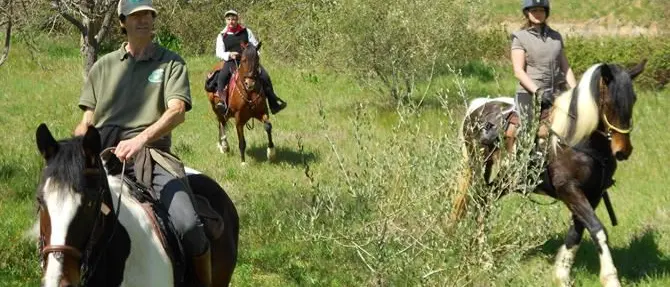 Un appello per creare un percorso di turismo equestre nel Catanzarese