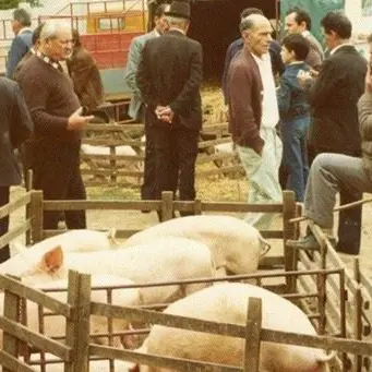 Arriva la fiera di Ognissanti, a Pizzo si rinnova una tradizione secolare