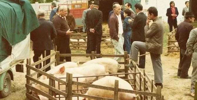 Arriva la fiera di Ognissanti, a Pizzo si rinnova una tradizione secolare