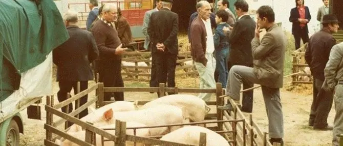 Arriva la fiera di Ognissanti, a Pizzo si rinnova una tradizione secolare