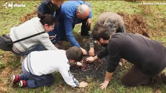 La regina del bosco: la castagna protagonista a LaC Storie