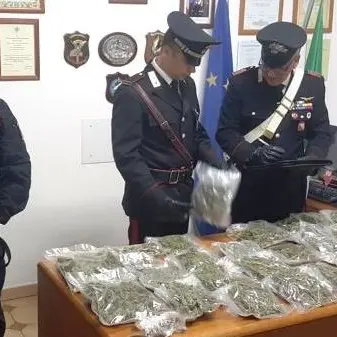 Lattarico, ottantenni arrestati per spaccio di droga