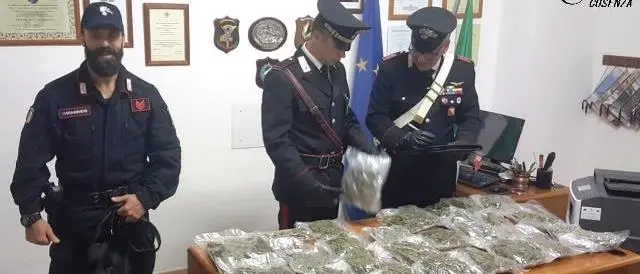 Lattarico, ottantenni arrestati per spaccio di droga
