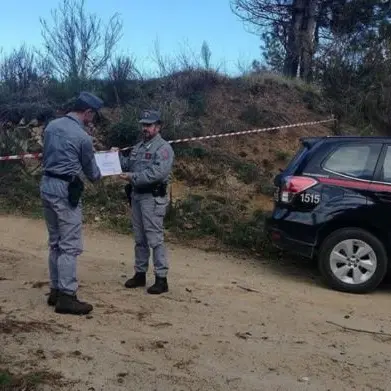 Tagliano duemila alberi su area incendiata, nove denunce ad Acri
