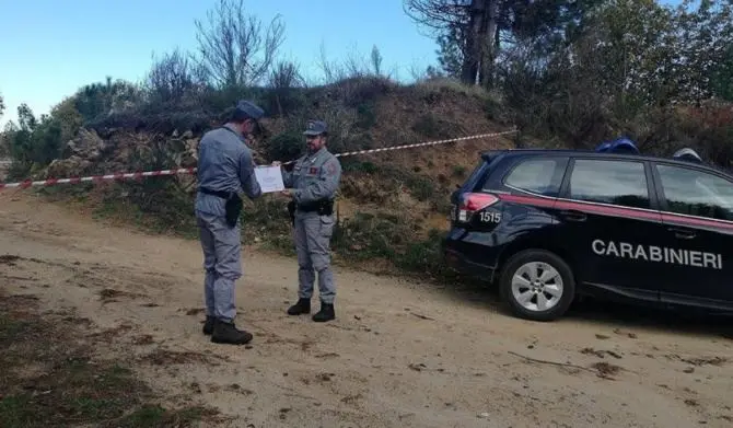 Tagliano duemila alberi su area incendiata, nove denunce ad Acri