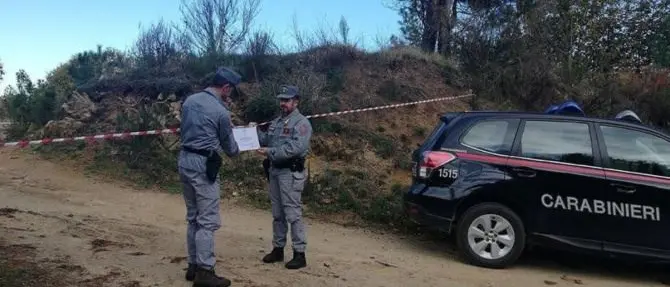 Tagliano duemila alberi su area incendiata, nove denunce ad Acri
