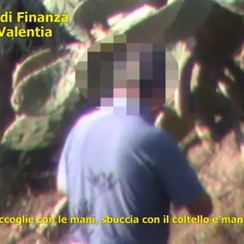 Scoperto falso cieco nel Vibonese, denunciati anche due medici