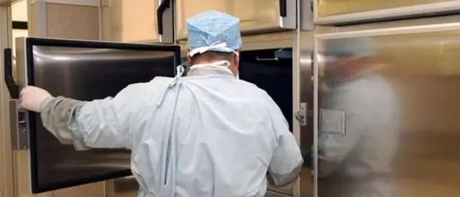 Quinta bolgia, l'ex ds: «Fanno carne di porco, si contendono i morti a cazzotti»