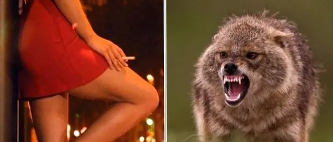 “Puttane e sciacalli” non basta, è arrivato il momento di osare di più