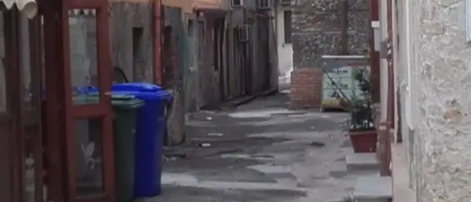 Catanzaro Lido invasa dai topi: la rabbia dei residenti e commercianti