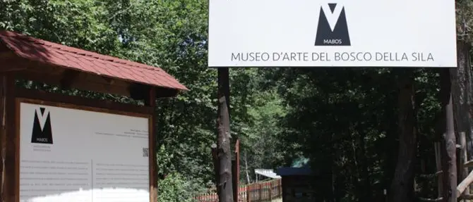 Il Museo d'Arte del Bosco della Sila accoglierà cento piccoli artisti