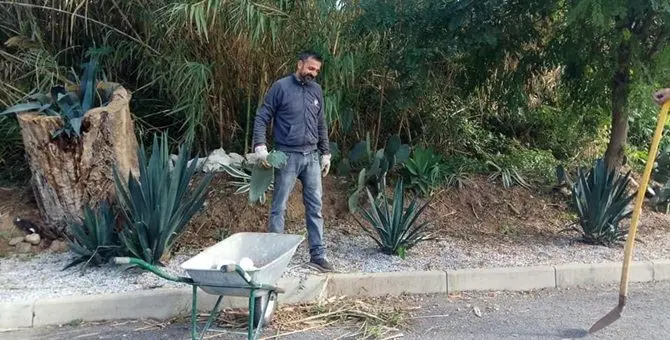 Il sindaco giardiniere che dedica i weekend al verde di Tropea