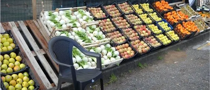 Le aziende calabresi puntano ai mercati orientali