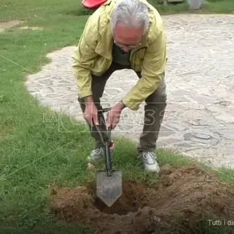 Riace riparte da Legambiente con la festa degli alberi