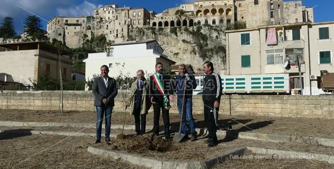 Tropea, un parcheggio rinasce nella Giornata nazionale degli alberi