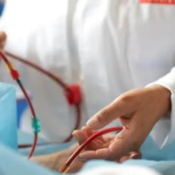 Emergenza dializzati a Reggio, Pedà: «Situazione al collasso»