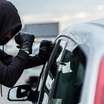 Rubano veicoli del valore di 100mila euro: un fermo a Lamezia