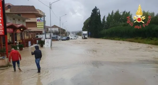 Tetti divelti e alberi sradicati, tromba d'aria colpisce il Catanzarese