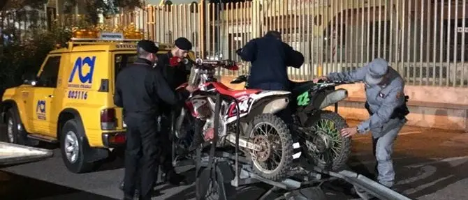 Sorpreso a tagliare legna nel Parco della Sila, denunciato