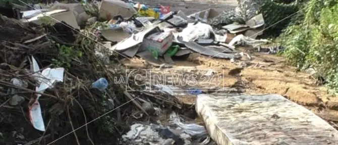 Rizziconi, quelle bombe ecologiche che minacciano l’agricoltura