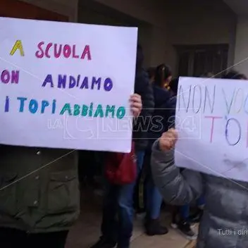 San Pietro a Maida, classi infestati dai topi: genitori e alunni in protesta