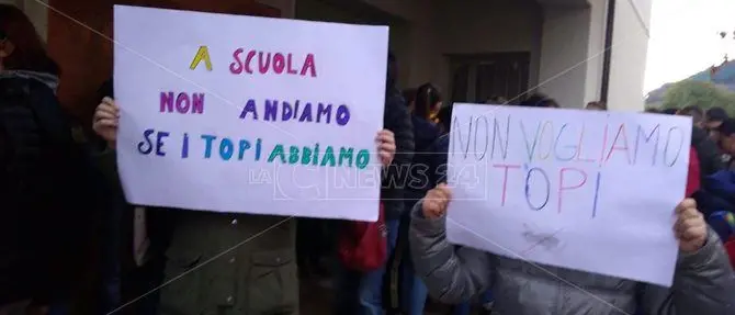 San Pietro a Maida, classi infestati dai topi: genitori e alunni in protesta