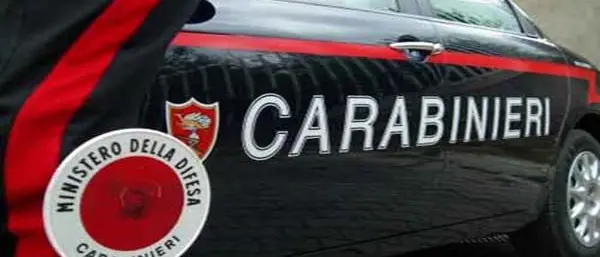 Sorpreso a tagliare abusivamente alberi, un arresto a Guardavalle