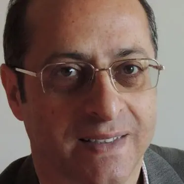 Il docente di Ingegneria Domenico Gattuso, annuncia una manifestazione contro le grandi opere inutili