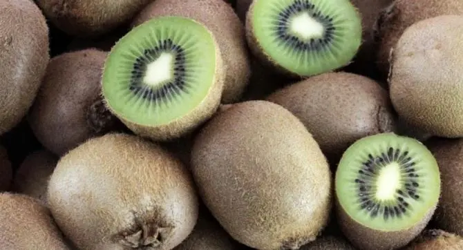 Kiwi prodotti in Grecia venduti come italiani, scatta il sequestro