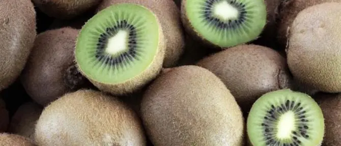 Kiwi prodotti in Grecia venduti come italiani, scatta il sequestro