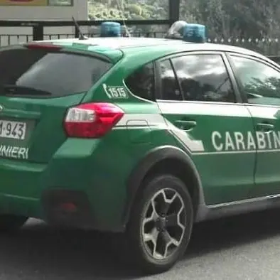Struttura abusiva nel Parco d'Aspromonte, quattro denunce