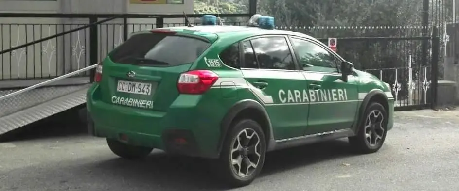 Struttura abusiva nel Parco d'Aspromonte, quattro denunce